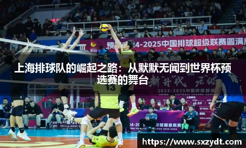 31399金沙娱场城在官网